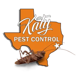 Pest Control Chelmsford