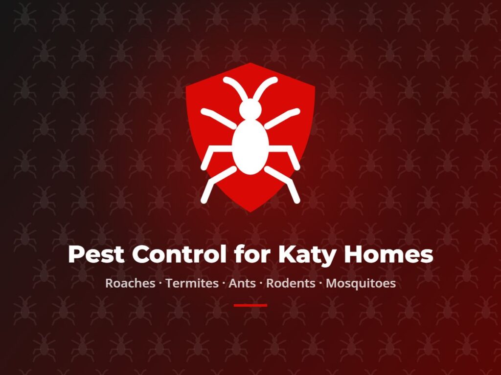 Pest control for Katy homes